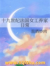 十九世纪法国女工养家日常小说