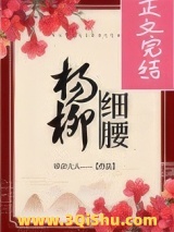 《杨柳细腰》全本TXT下载-作者：咬金大美人