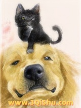 穿成猫后靠玄学爆红图片