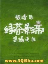 《被渣后绿茶影帝想撬走我》全本TXT下载-作者：四藏