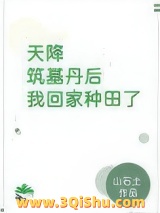 天降筑基丹后我回家种田了图片