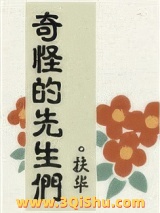 《奇怪的先生们》全本TXT下载-作者：扶华