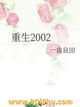 《重生2002》全本TXT下载-作者：一亩良田