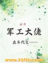 《军工大佬在年代文[穿书]》全本TXT下载-作者：小小的晓